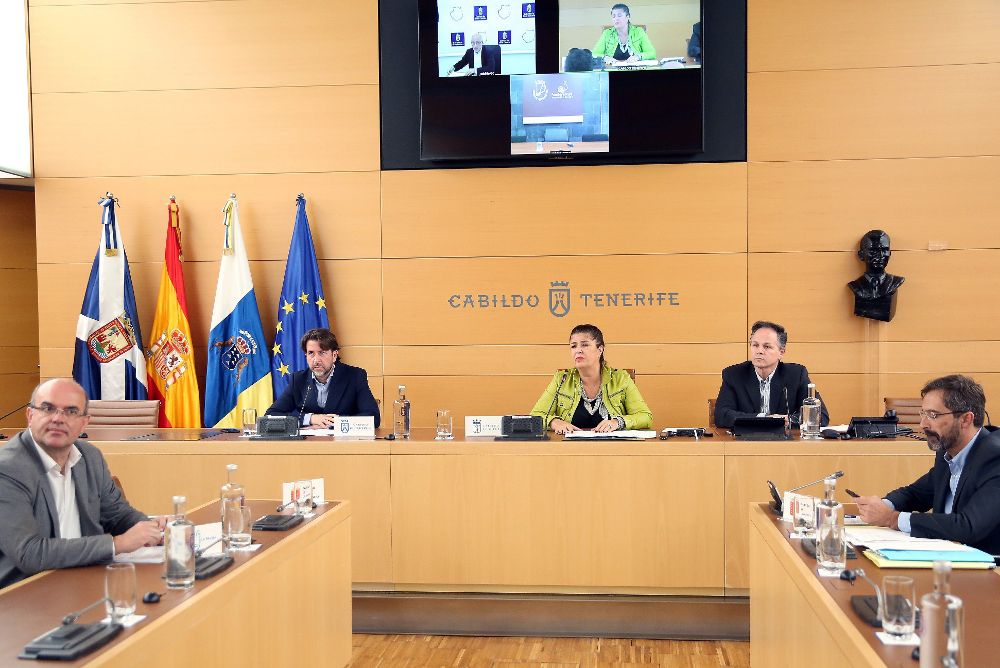 La asamblea general de la Federación Canaria de Islas (Fecai) se reunió hoy en la sede del Cabildo tinerfeño.