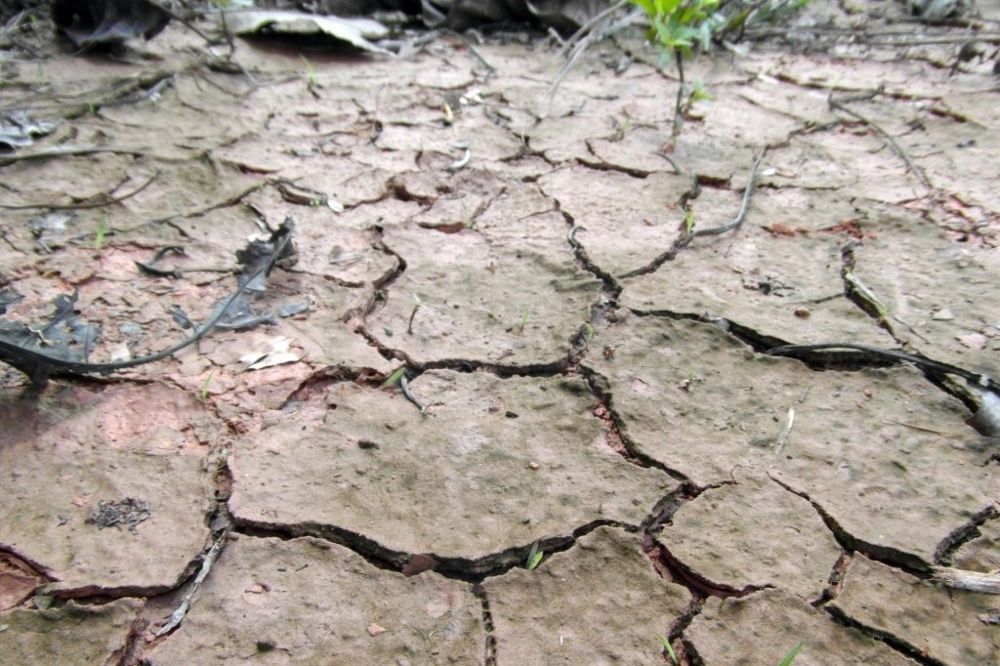 La sequía, uno de los efectos más dramáticos del cambio climático.