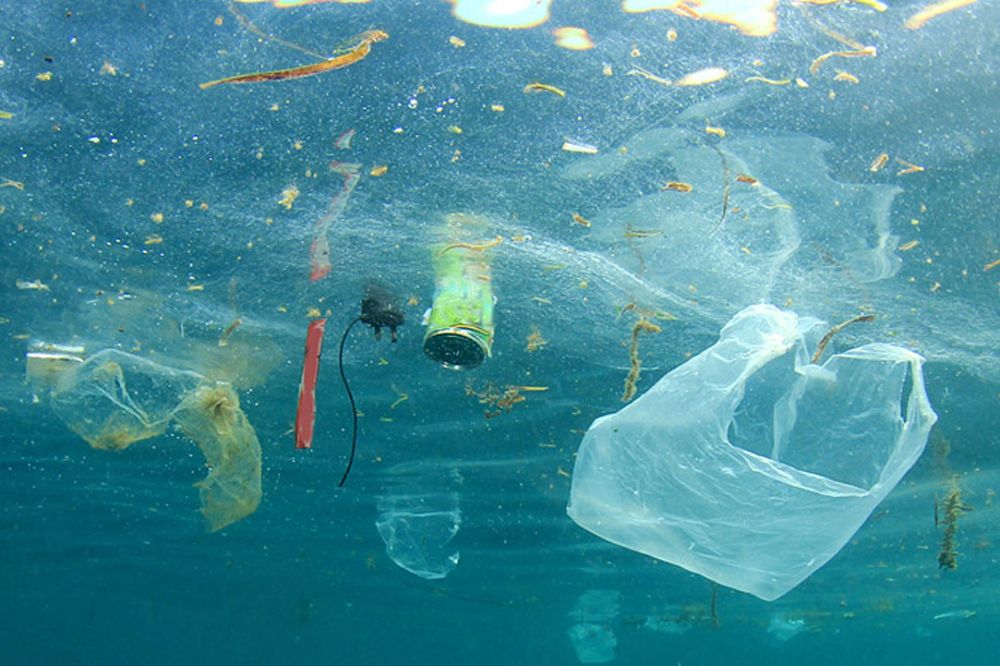 Los objetos de plástico de un solo uso han convertido el mar en un vertedero planetario.