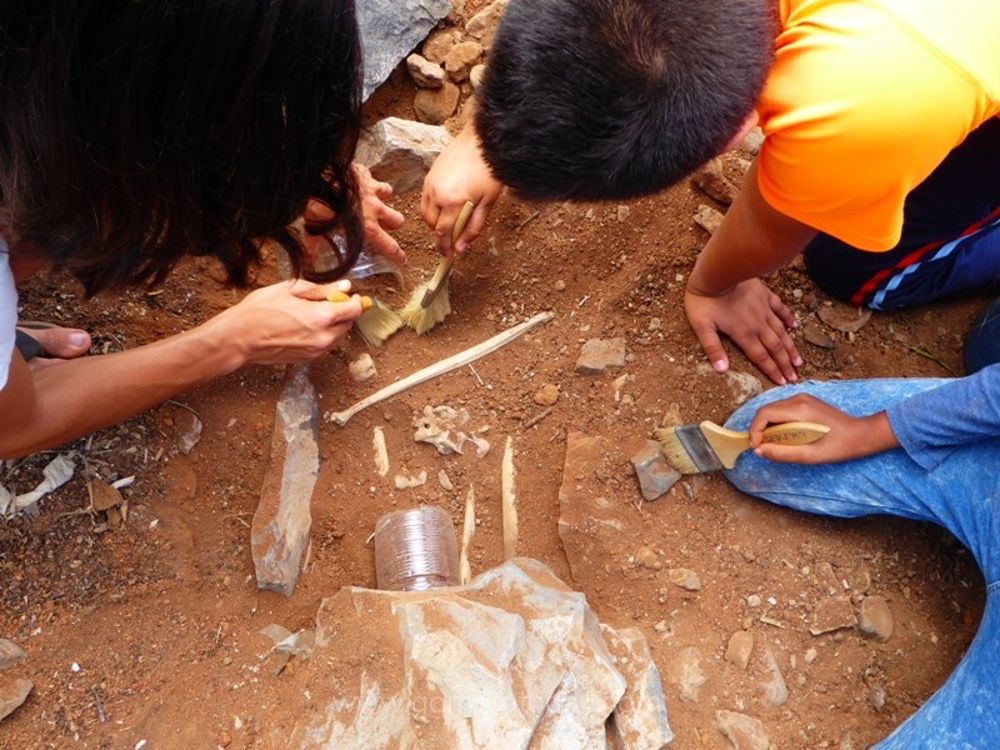 Excavación arqueológica en La Gomera
