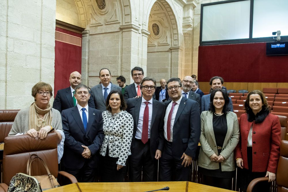 El grupo parlamentario andaluz de VOX, posa tras la sesión constitutiva de la XI Legislatura del Parlamento de Andalucía en Sevilla.
