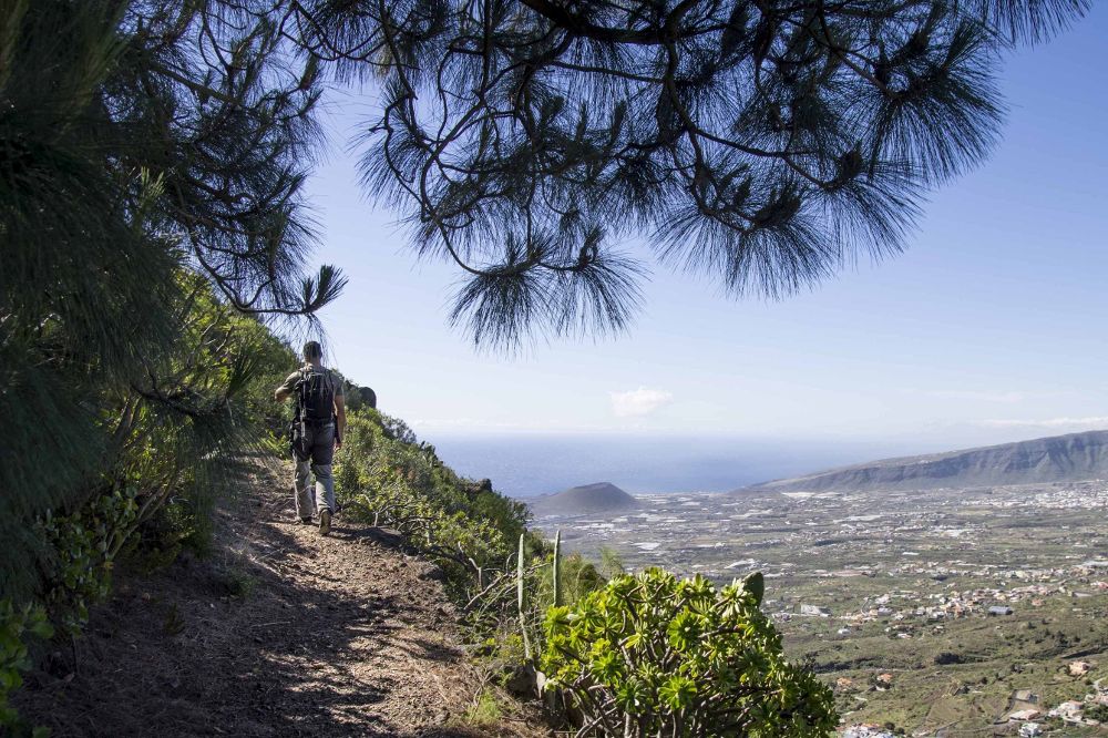 Un sendero de Tenerife. 