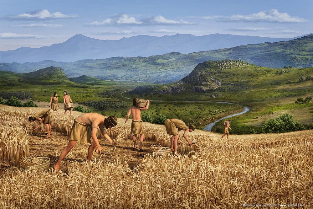 Recreación de la recolección del grano de la cebada en el Neolítico.