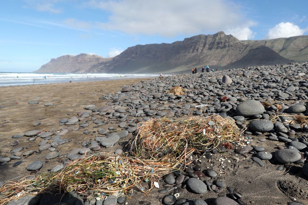 En la imagen, fragmentos de plástico que deposita la marea en la playa de Famara, en la costa norte de Lanzarote.