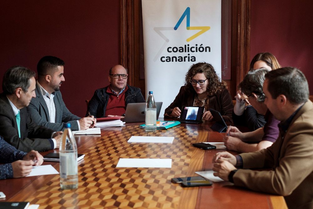El secretario general de Coalición Canaria, José Miguel Barragán (3i) y la secretaria de Organización, Guadalupe González Taño (4ª i), presidieron la reunión del Comité Permanente Nacional de su partido.