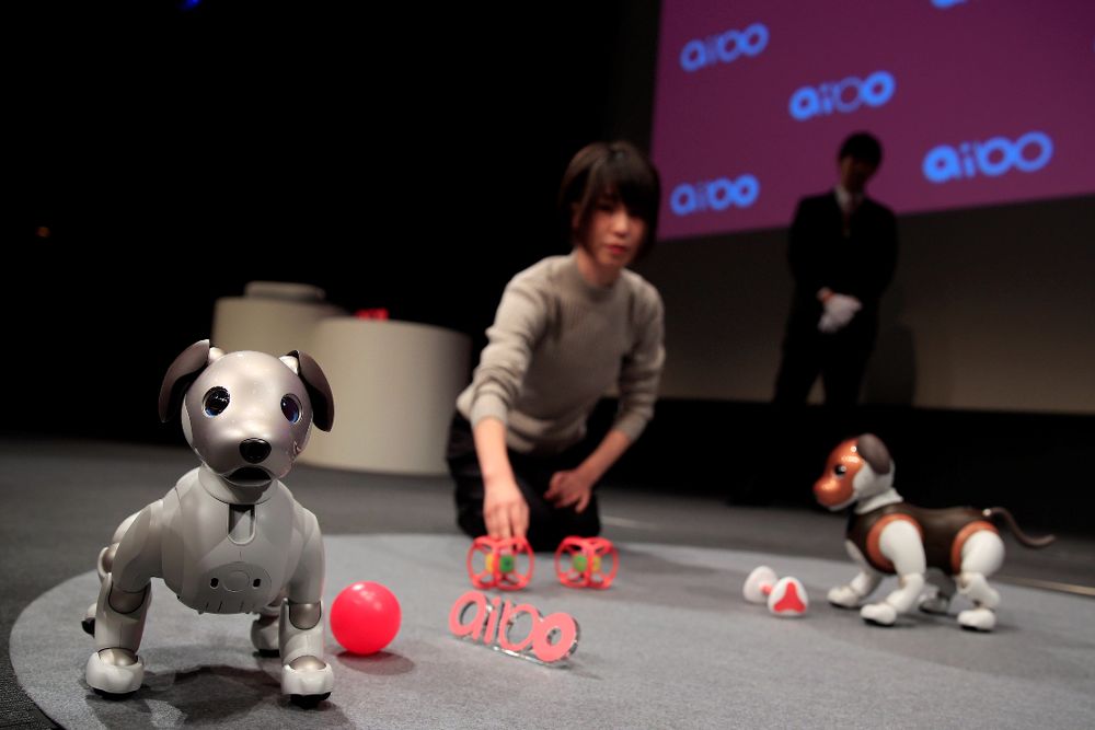 Una joven interactúa con el perro robótico Aibo de Sony.