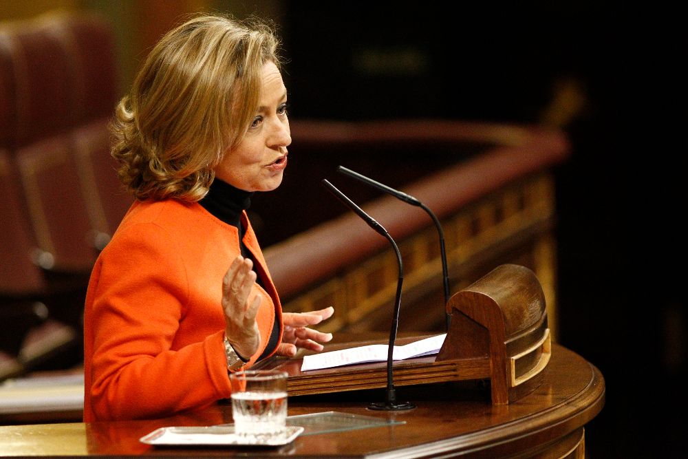 Ana Oramas interviniendo en el Congreso de los Diputados el pasado 9 de enero.
