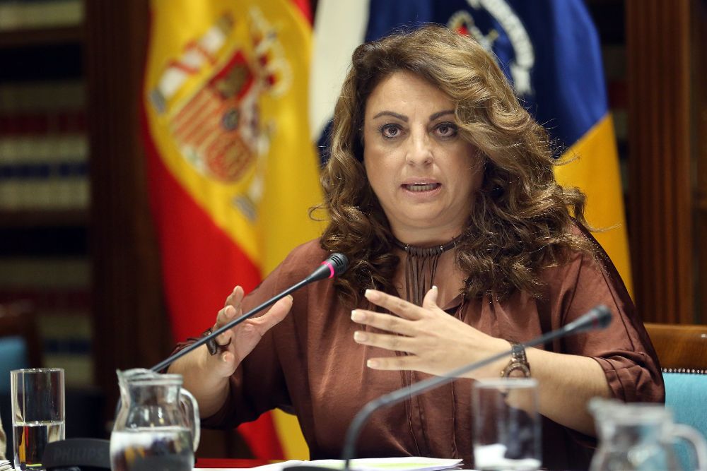 Cristina Valido compareció este miércoles en comisión parlamentaria.