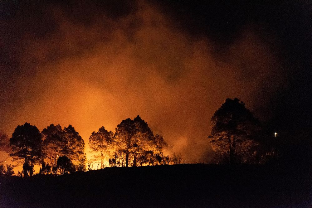 Incendio forestal declarado entre Llano Negro y San Antonio del Monte, en el municipio de Garafía (La Palma). Fotografía del pasado jueves.