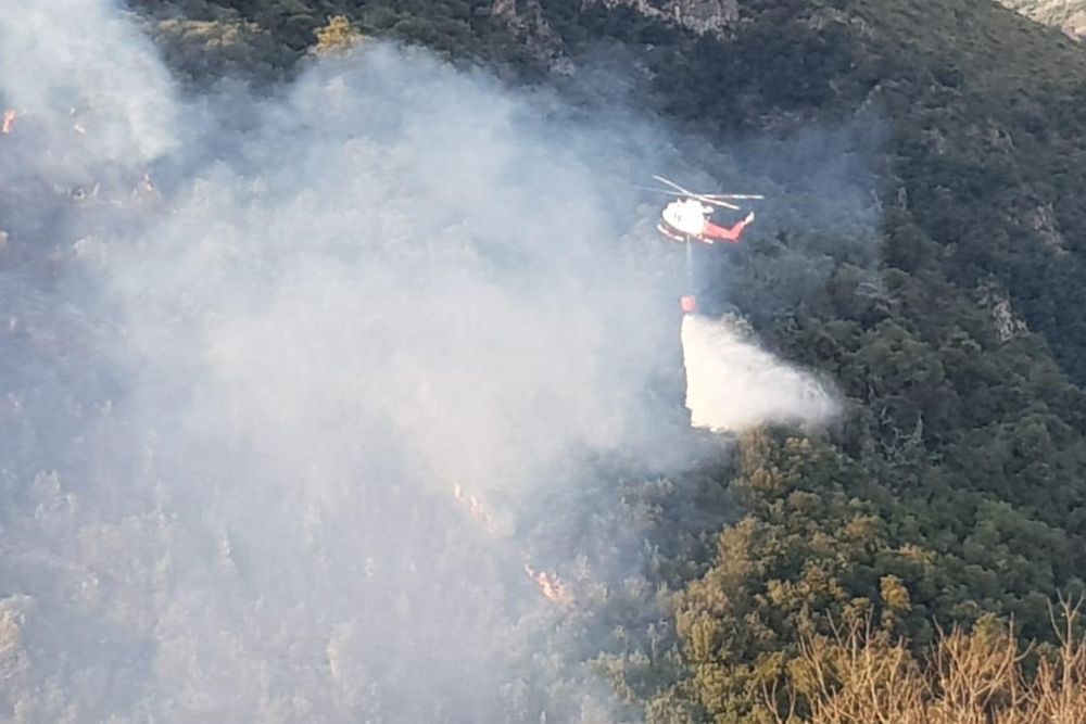 2019 Incendio forestal en Obeso.