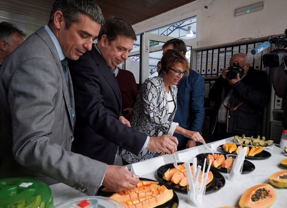 El ministro (2i), junto al consejero canario de Agricultura, Narvay Quintero (i), y a la delegada del Gobierno en Canarias, Elena Máñez, prueban algunas frutas, durante la visita que realizó este lunes a la finca Matas Blancas, situada en el norte de Gran Canaria.