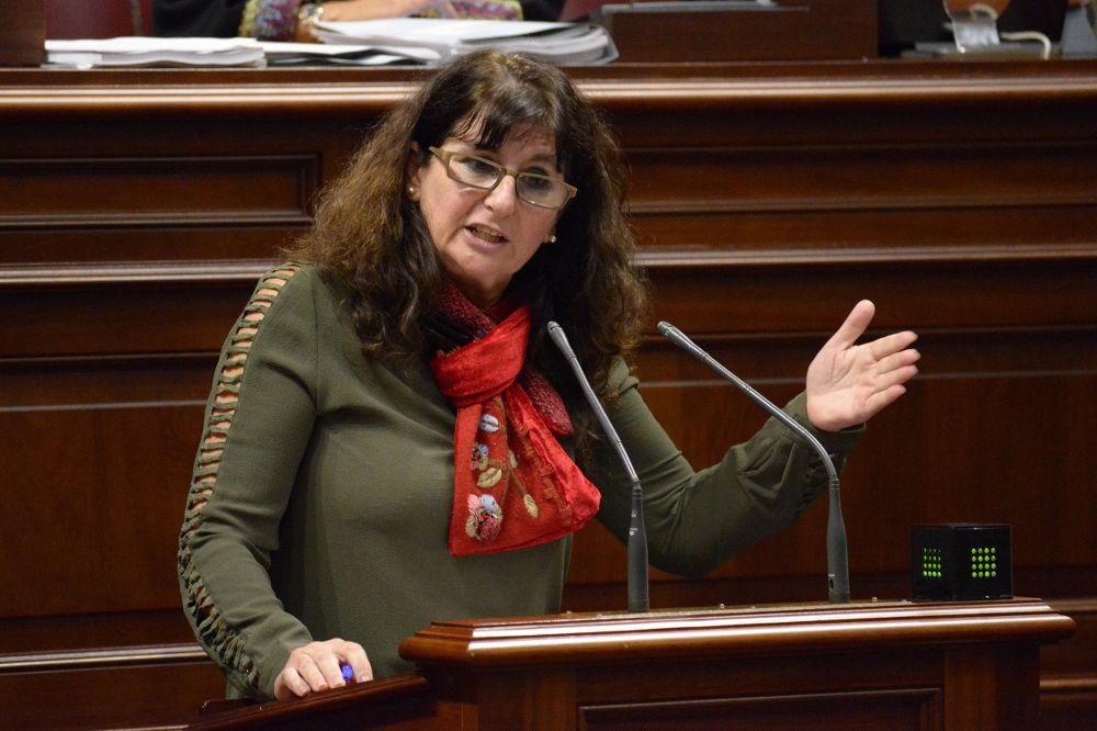 Concepción Monzón, diputada de Podemos.