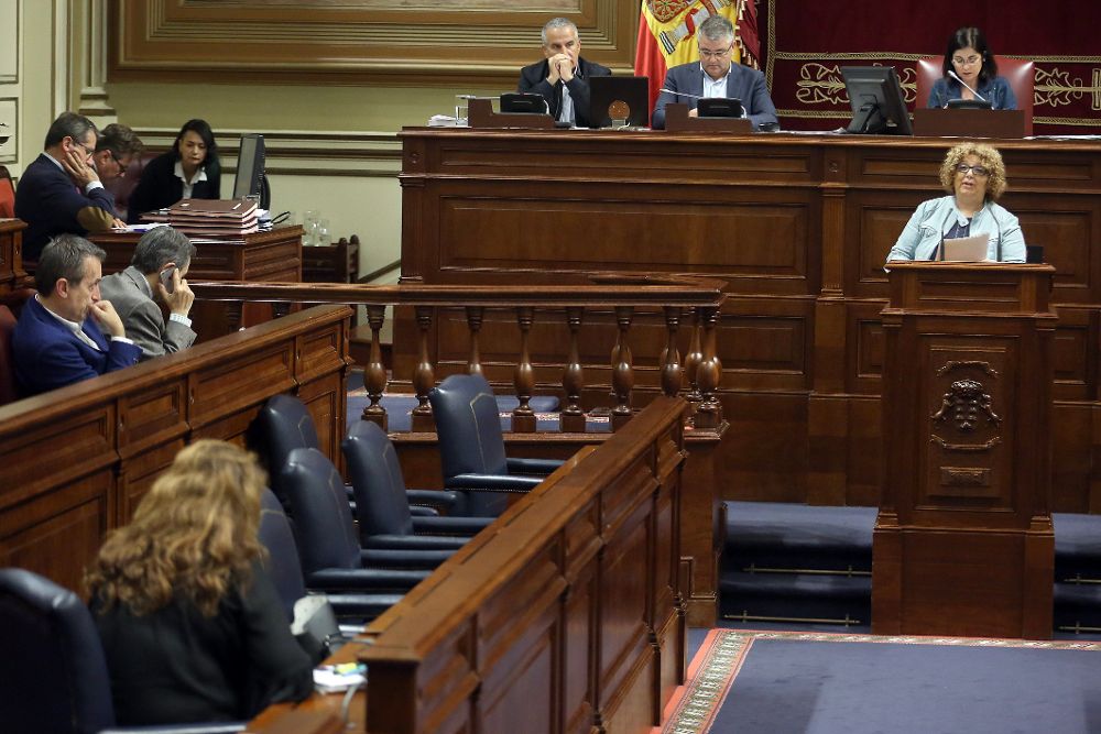 La diputada del grupo Nacionalista, María Elena Luis. durante una de sus intervenciones en la segunda jornada del pleno del Parlamento de Canarias.