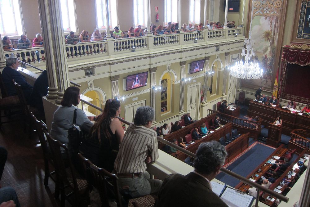 Afectados por casos de bebés robados en el Parlamento Canarias.