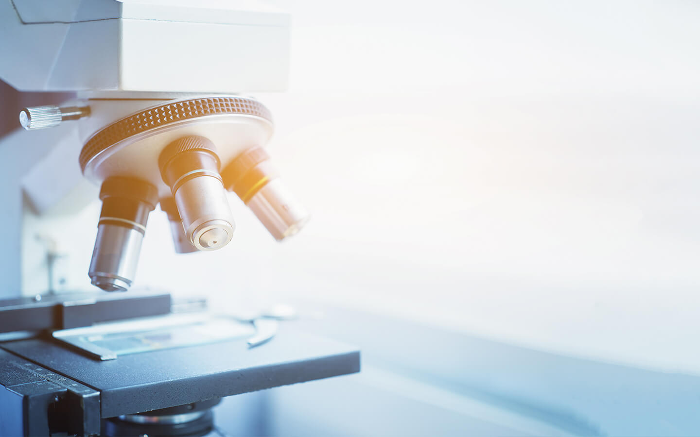 España, país clave para el futuro de la investigación oncológica.